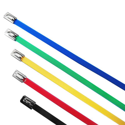 China Different Colored Cable Ties , SS 10 Inch Length Heat Resistant Zip Ties supplier