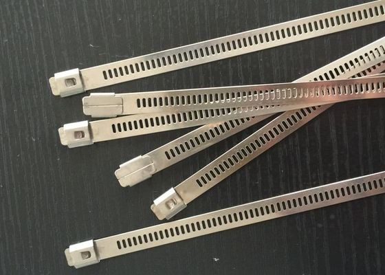 China SS304 Naked Stainless Steel Ladder Cable Ties With Metal Barb Fire Resistant supplier