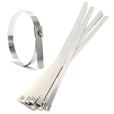 China Customize Wing Seal Buckle Stainless Steel Cable Zip Ties For Traffic Signal Facilities supplier