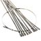 Manufacturer Ball-Lock Stainless Steel Cable Tie 4&quot; 6&quot; 8&quot; 12&quot; 16&quot; 20&quot; CE &amp; ISO Certificate supplier
