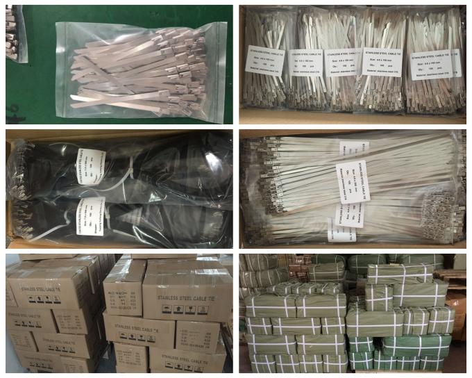 Heavy Duty Stainless Steel Cable Ties Self Locking 10 Inch Zip Ties 50pcs / Pkt