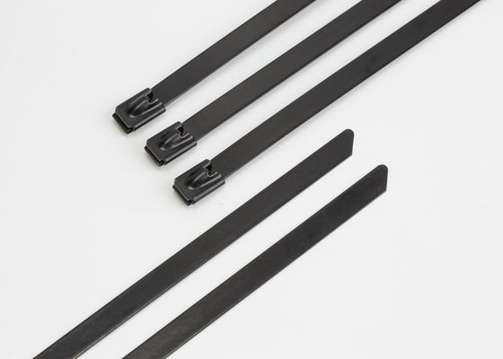 China 4.8x 600mm Full Epoxy Coated Stainless Steel Cable Ties For Objects Protection supplier