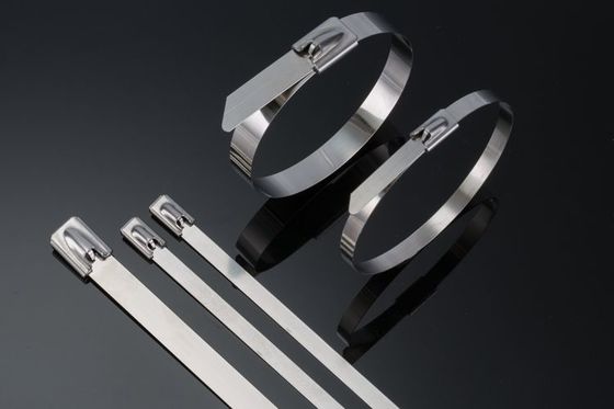 China Heavy Duty Stainless Steel Cable Ties Self Locking 10 Inch Zip Ties 50pcs / Pkt supplier