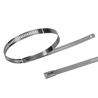 China Self Locking Stainless Steel Ladder Cable Ties With Flat And Low Profile Head supplier