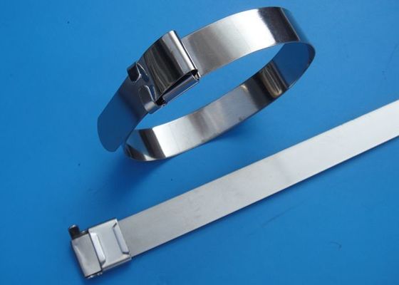 China SS201 / 304 / 316 Stainless Steel Wire Ties With Wing Seals Locking Eco Friendly supplier