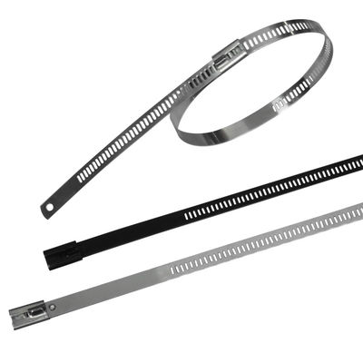 Epoxy Coated Stainless Steel Ladder Zip Ties , Ratchet Cable Ties Fireproof supplier