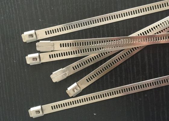 SS304 Naked Stainless Steel Ladder Cable Ties With Metal Barb Fire Resistant supplier