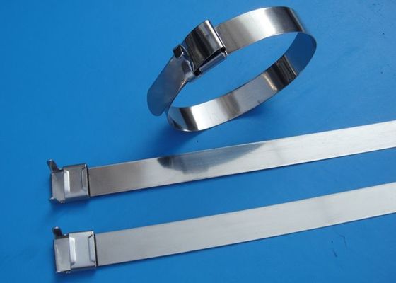 SS201 / 304 / 316 Stainless Steel Wire Ties With Wing Seals Locking Eco Friendly supplier