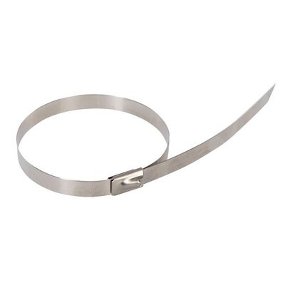 Manufacturer Ball-Lock Stainless Steel Cable Tie 4&quot; 6&quot; 8&quot; 12&quot; 16&quot; 20&quot; CE &amp; ISO Certificate supplier