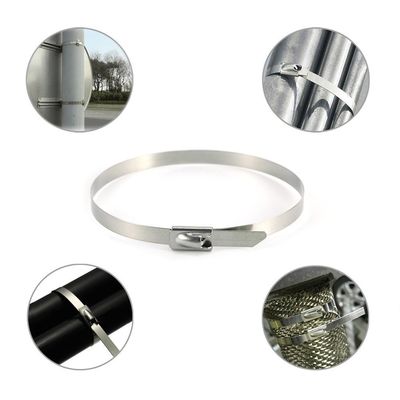 Buy From jiuhong  Manufacturer Self Lock Zip Ties supplier